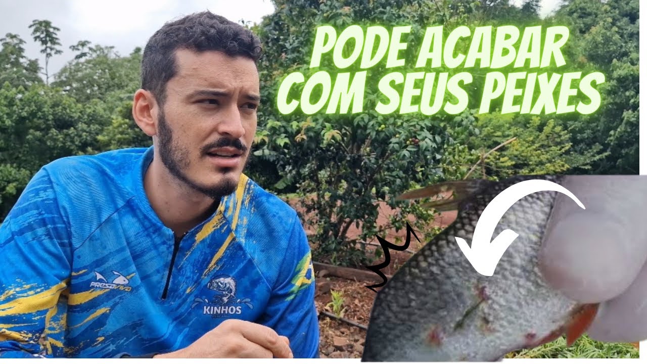 ESSE PARASITA PODE ACABAR COM SEUS PEIXES, COMO ELIMINAR O 
