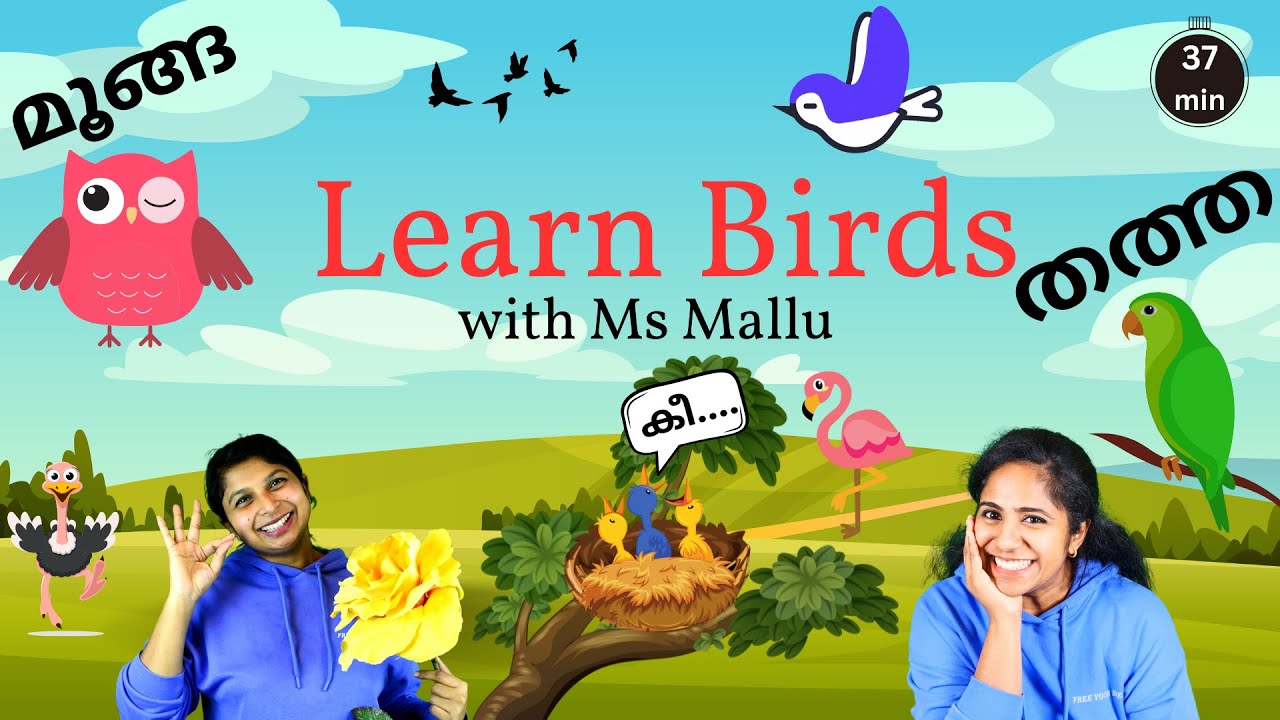 Learn Birds with Ms Mallu | Toddler Learning Videos | Nursery Rhymes