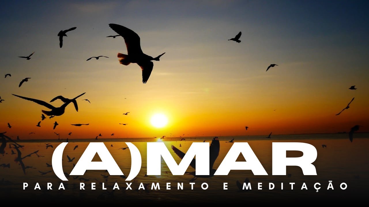 🌊 Sons do MAR e GAIVOTAS – 1 Hora de RELAXAMENTO e MEDITAÇÃO