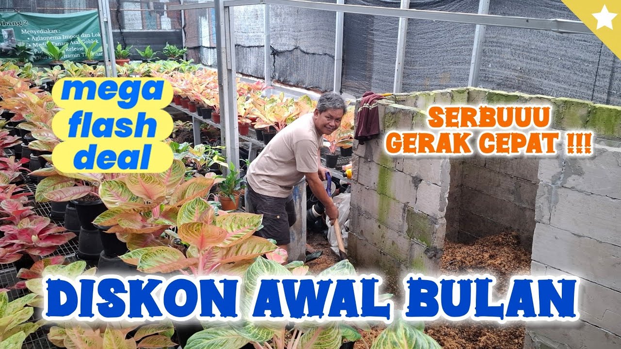 AWAL BULAN PENUH PROMO !! CEPAT CEPAT CEPAT !!