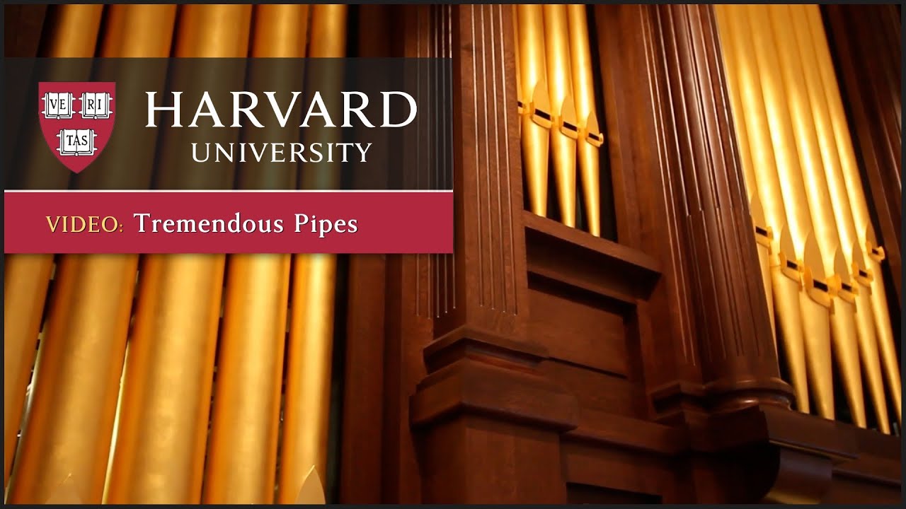 New Fisk organ arrives at Harvard's Memorial Church