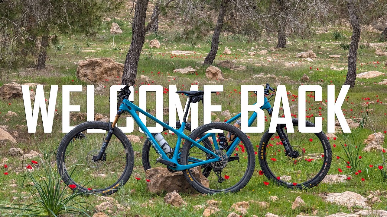 Lahav Forest Alon and Rimon Yeti ARC - 2024 - יער להב סינגל אלון וסינגל רימון