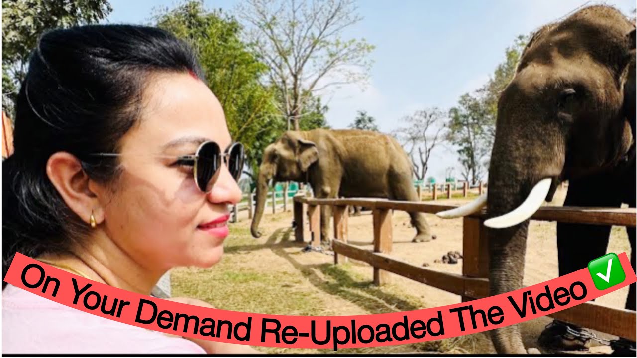 Coorg tourist places | Coorg tourism video  | coorg places to visit | Coorg places | A2Z Content