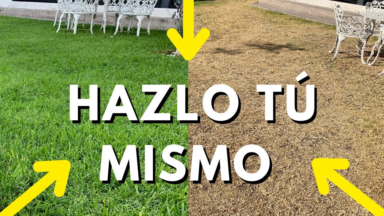 ❤️ Cómo REVIVIR un Pasto Seco ?? 👉🏼 3 sencillas soluciones low-cost 📉