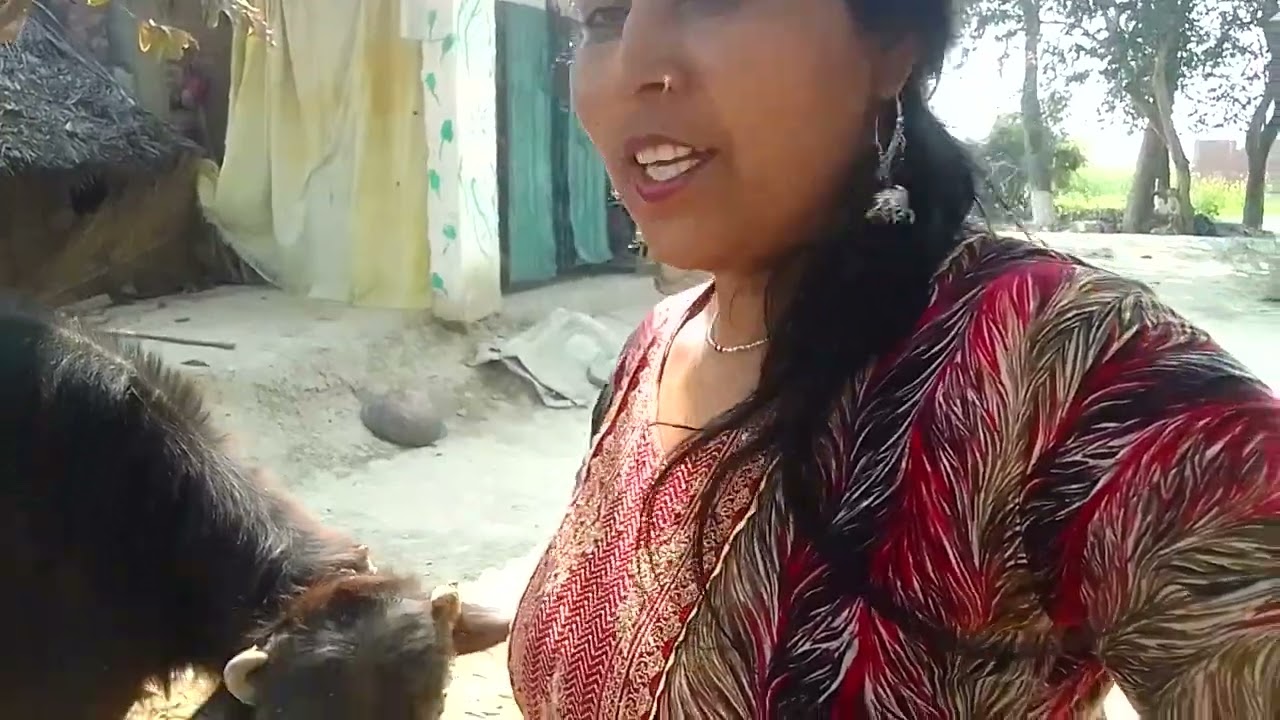 अंतिमा देवी यूपी 621ब्लाक, विडियो में आप का स्वागत है आज फिर से हम मायका आ गया है लाइक कीजिए 👍🙏🙏🙏🙏🙏