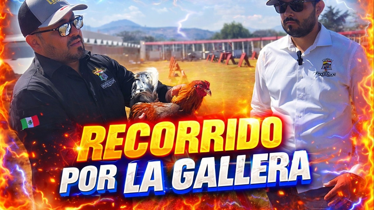 🔥🐓 RECORRIDO POR LA GALLERA | ENTRE GALLOS & CABALLOS💥
