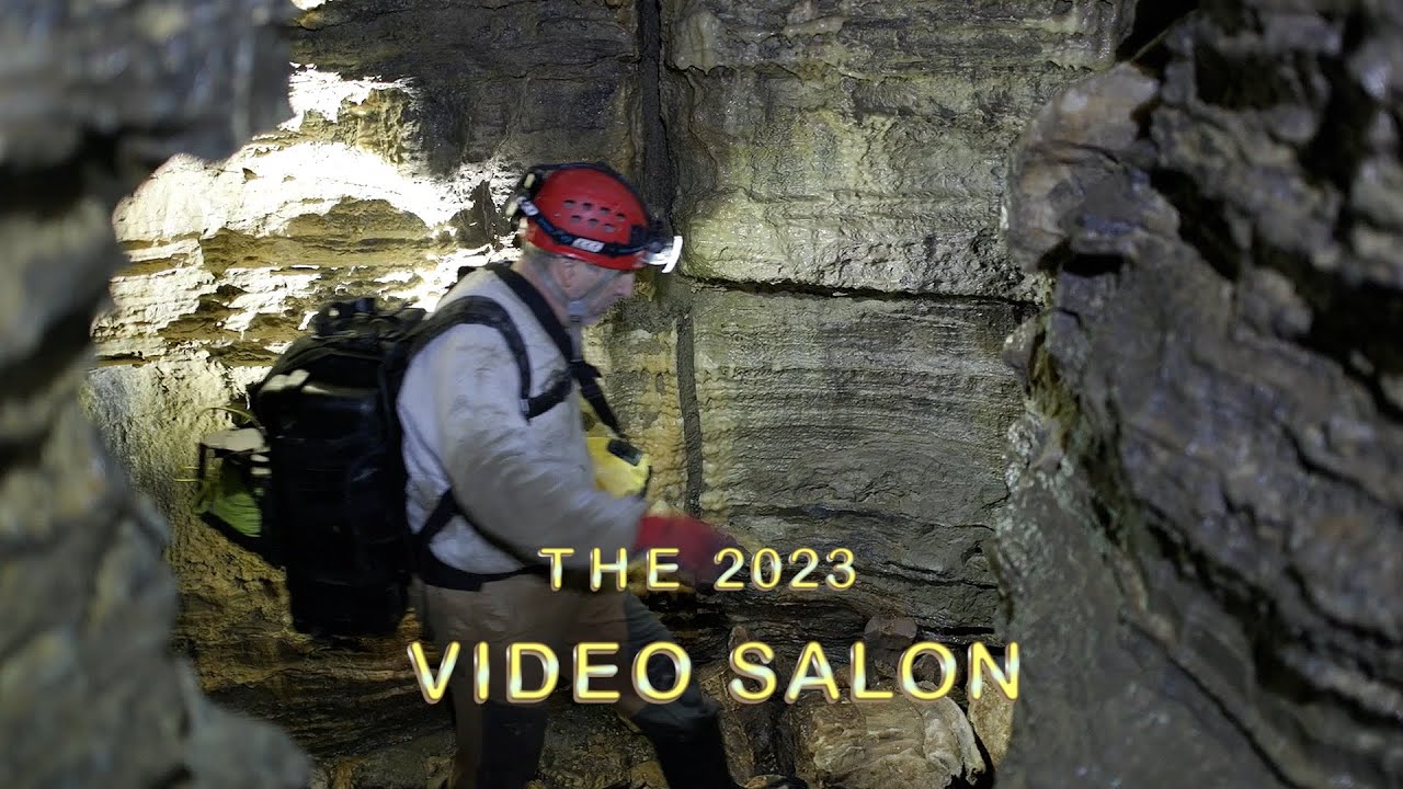 NSS 2023 Video Salon Show