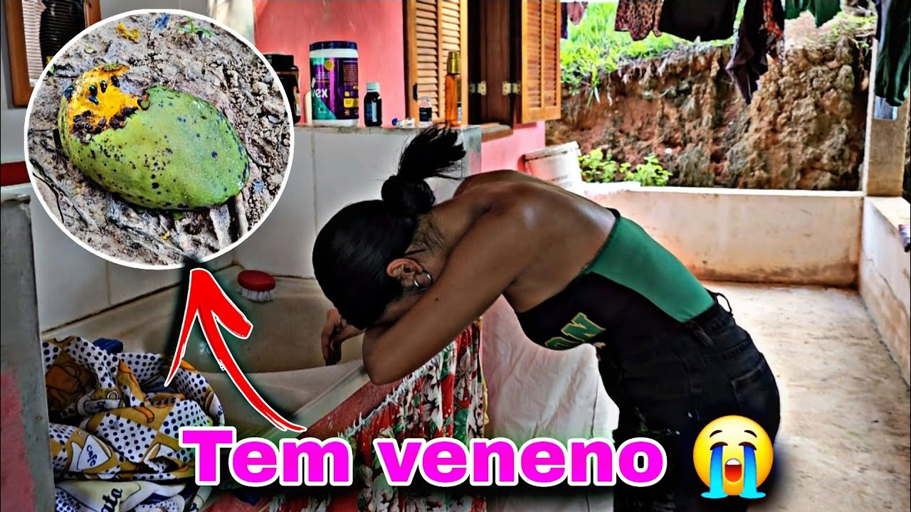 LARY FOI MORDIDA POR UM BICHO MUITO VENENOSO! VAMOS PRO HOSPITAL? 😭😭