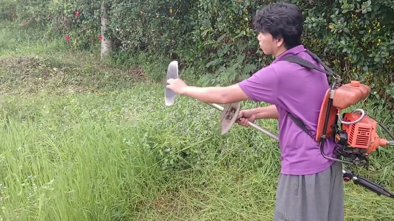 Belajar potong rumput di kebun orang 