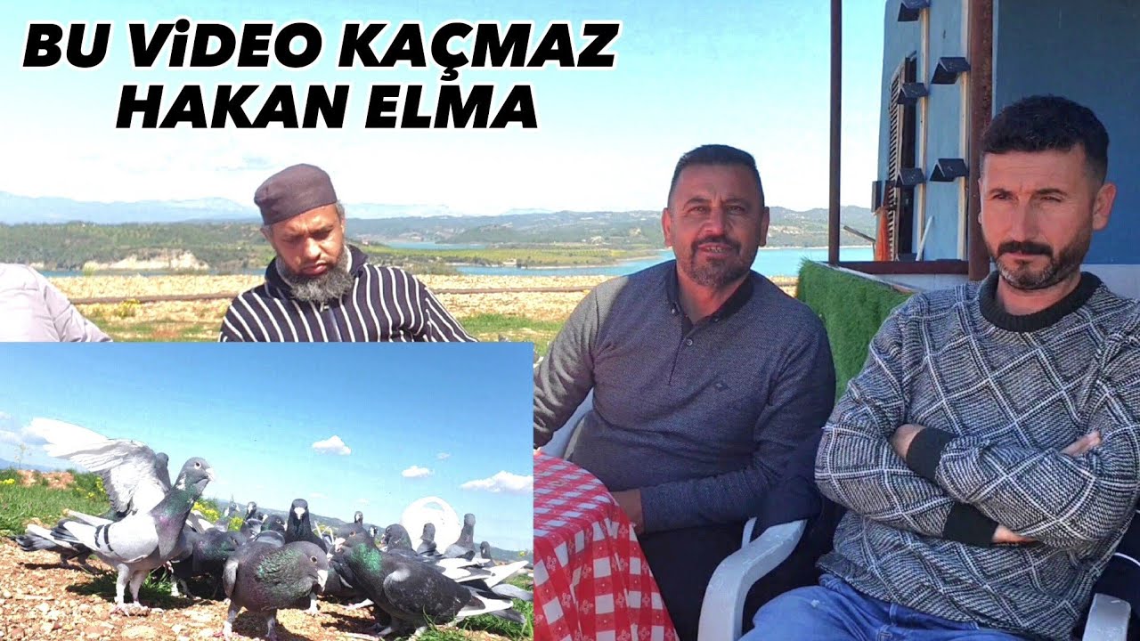 ÜST DÜZEY ADANA GÜVERCİNLERİ  MERAK ETTİNİZ  BÜTÜN KONULAR