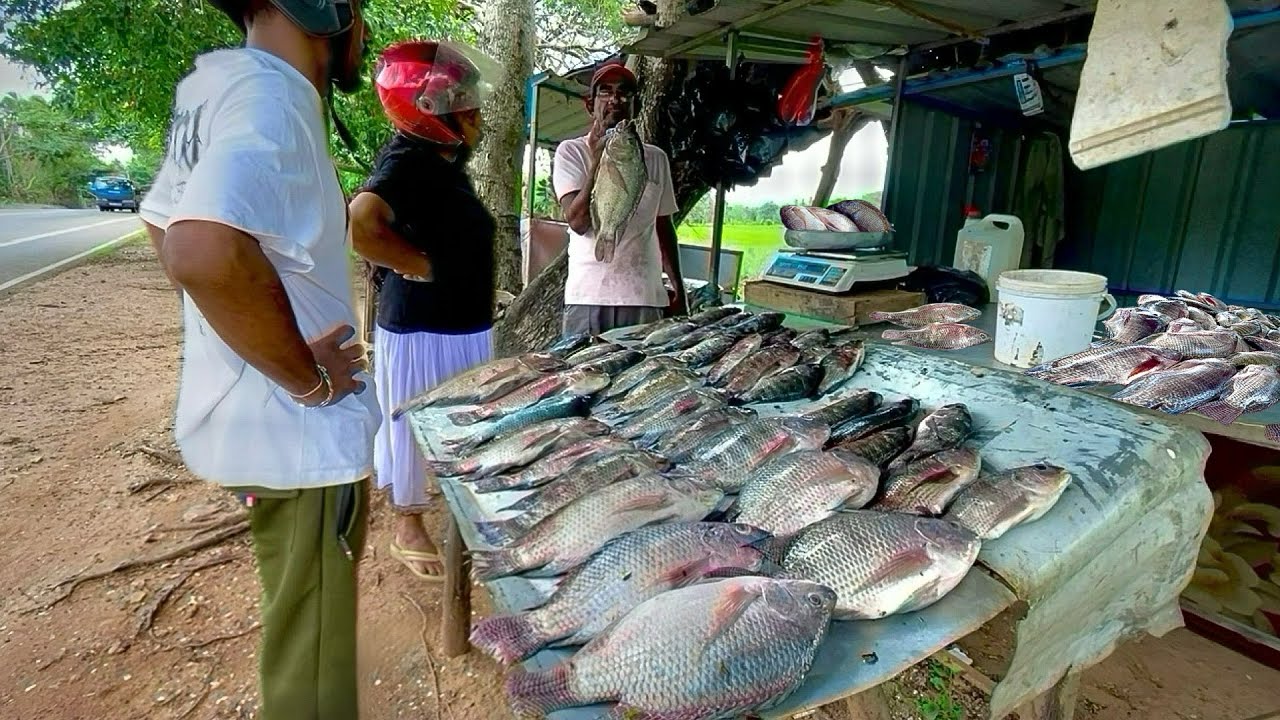 You Won’t Believe How This Hard-Working Fishmonger Runs a Hidden Village Fish Market Every Morning!