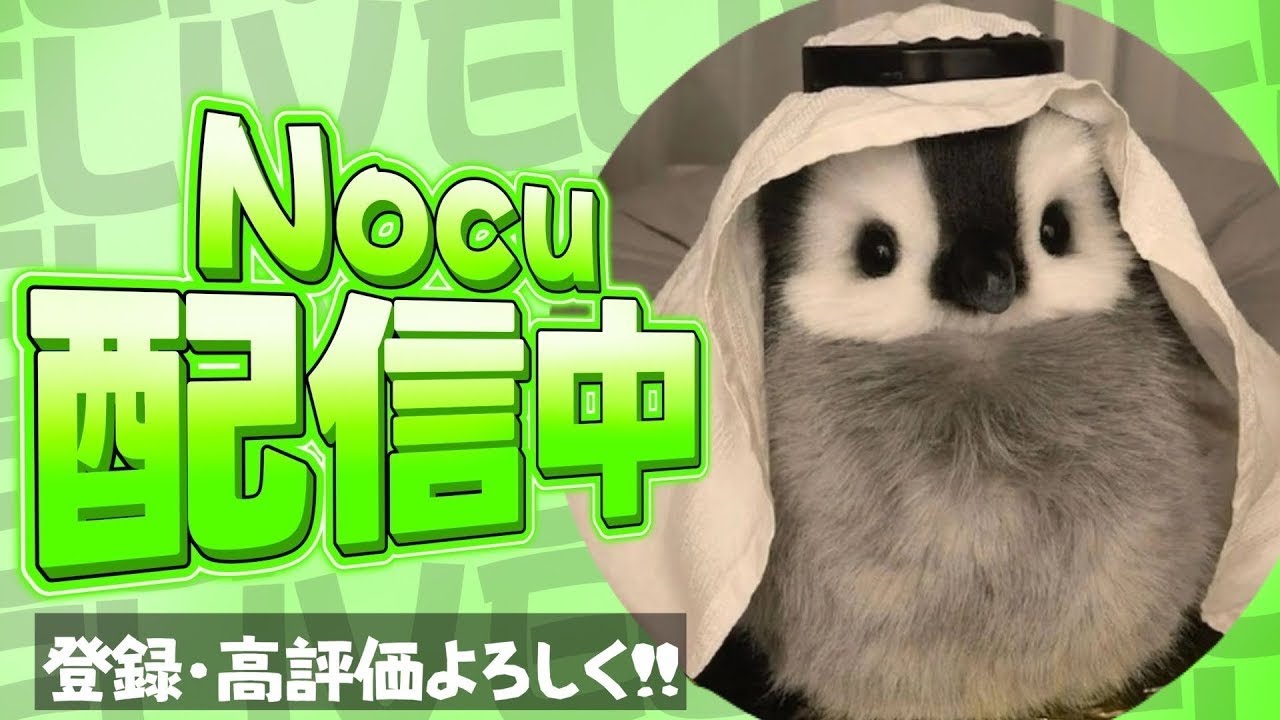 毎日配信246日目 フォトナする[フォートナイトFortnite]