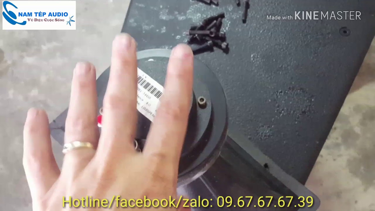 Phần 1: Giới thiệu loa Trans Audio d&ograve;ng loa đẳng cấp