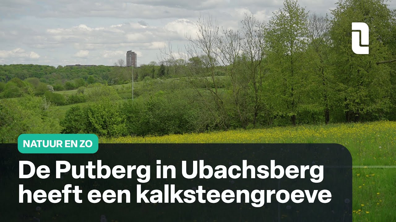 De Putberg in Ubachsberg | Natuur en Zo 🌿