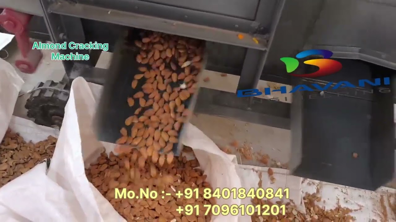 Almond Cracking Machine installed at Sonipat