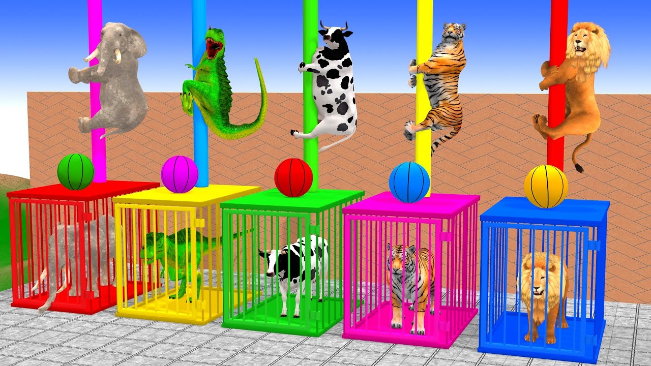 Long Slide Game With Cow Elephant Gorilla Hippopotamus Tiger 3d Animal Game Funny 3d Animals