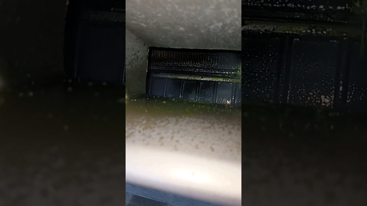 leaking AC condenser