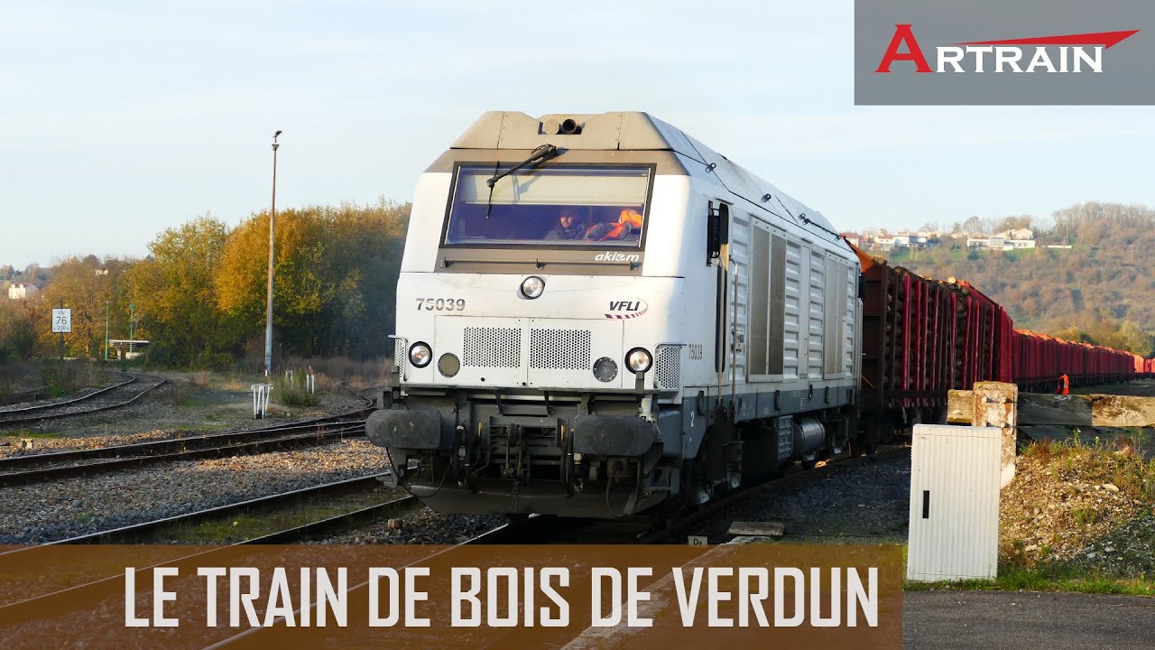 Le train de bois de Verdun (Régiorail)