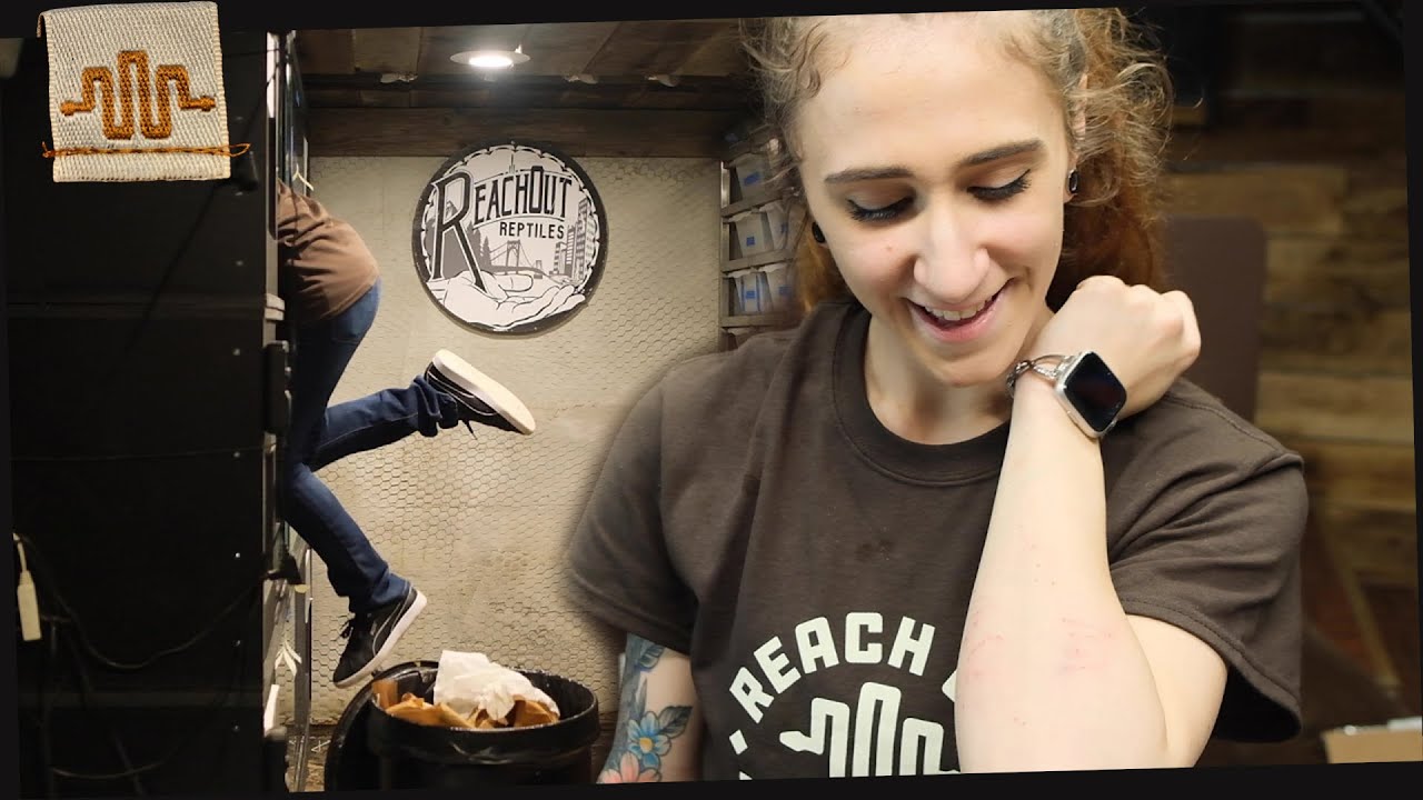 What's it like to work at a Reptile Shop? [Tori's 1st Day]