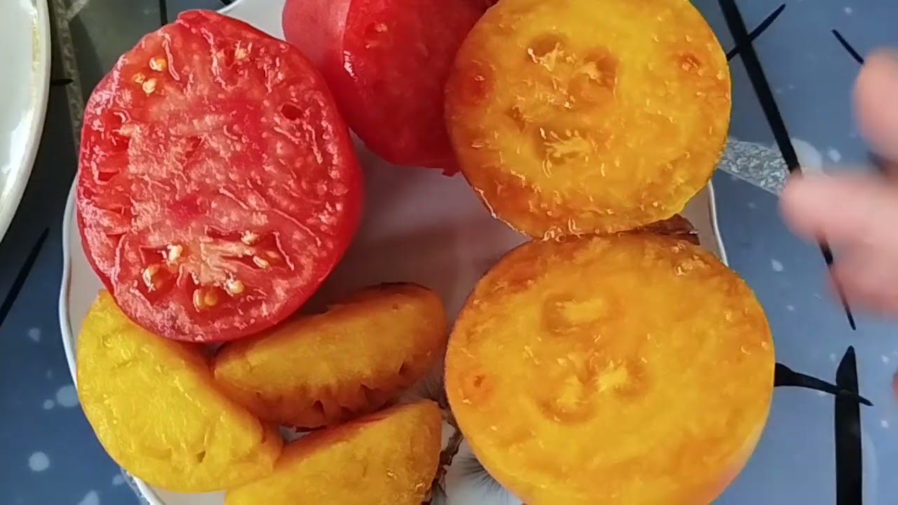 Обзор томатов 18 июля 🍅по вкусу ,в разрезе🍅
