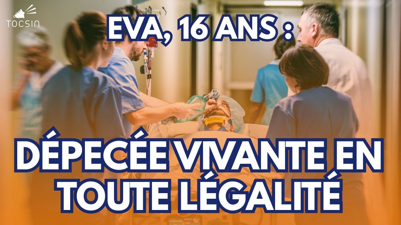 Euthanasie : la loi qu'un franc-maçon prépare depuis cinq ans ! - Mercier/Puppinck