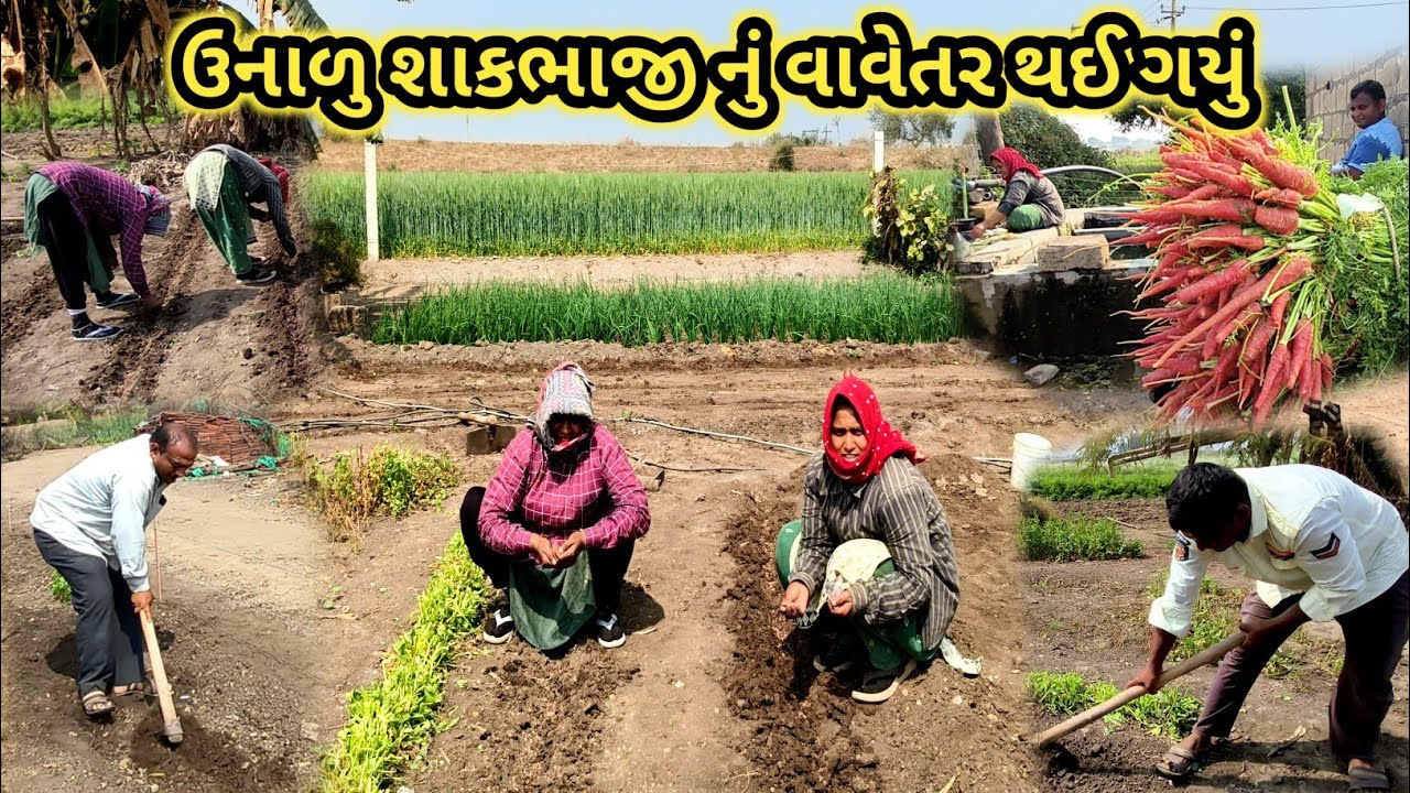 આજે ઉનાળુ શાકભાજીનું વાવેતર કર્યું | Jitesh Sakhreliya Vlogs 