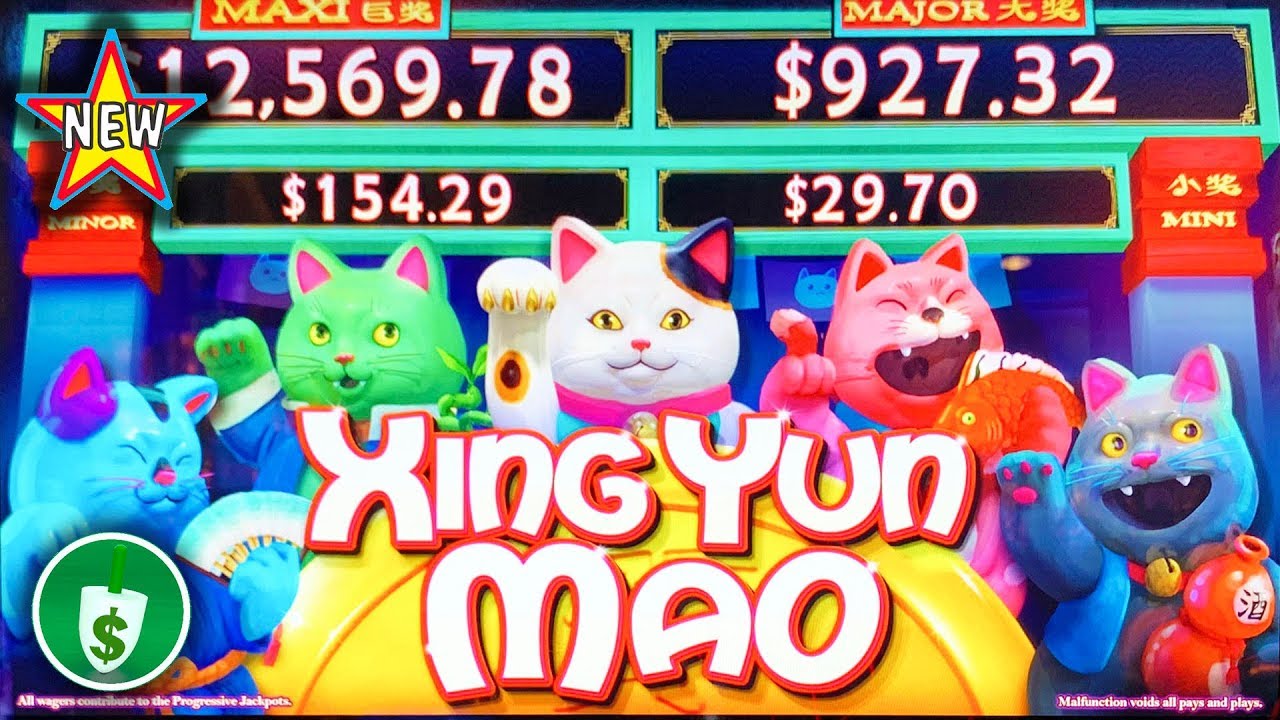 ⭐️ New - Xing Yun Mao WA VLT slot machine, bonus