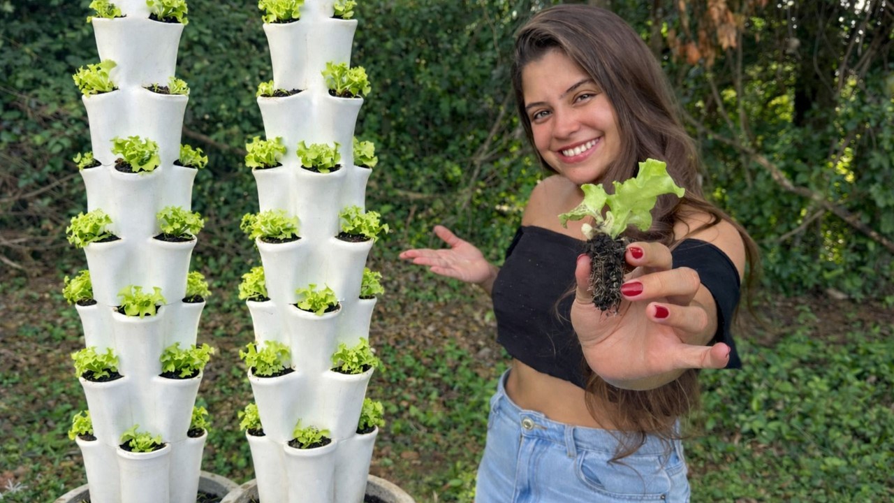 Plantei as mudas em horta 100% automática, é muito melhor do que pensei!