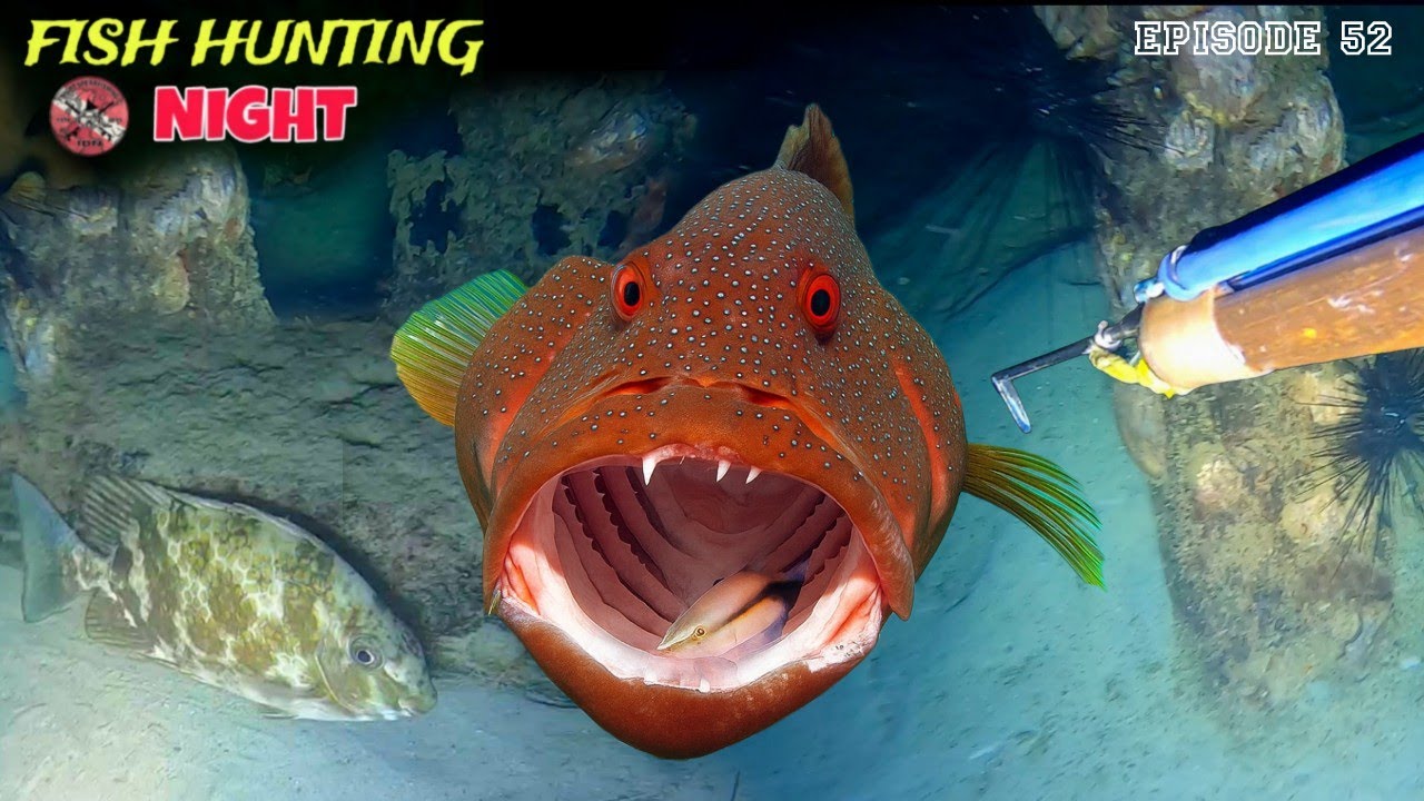 NIGHT SPEARFISHING EPISODE 52 | FISH HUNTING NIGHT