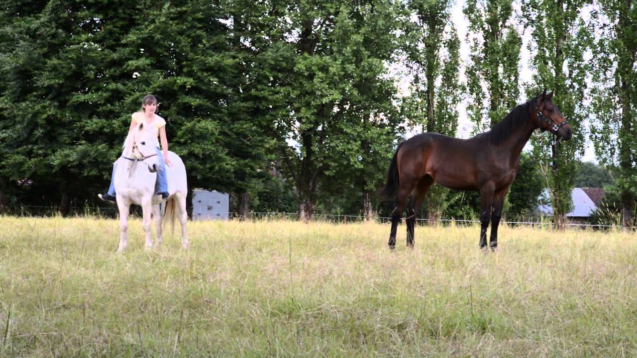 Etoile et Elvis :)