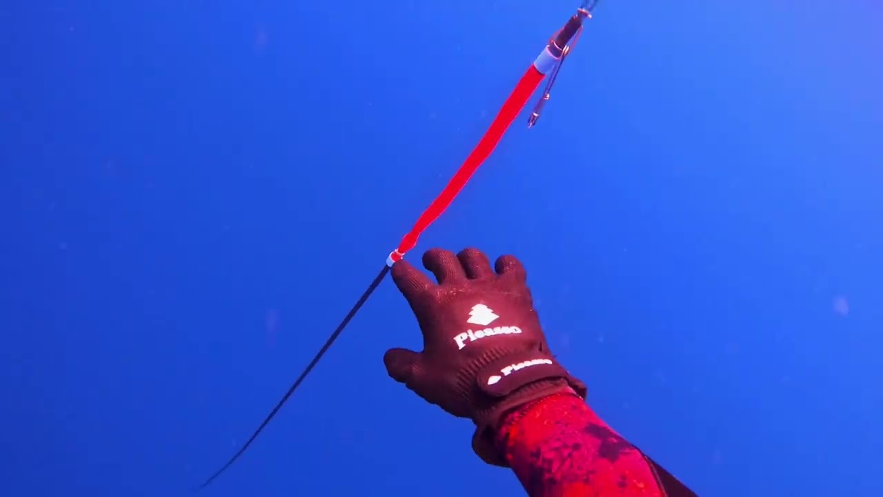 Shooting Wahoo wit da Homie @CaptainColeHarrison  and @freediversteph on SHARK Duty!