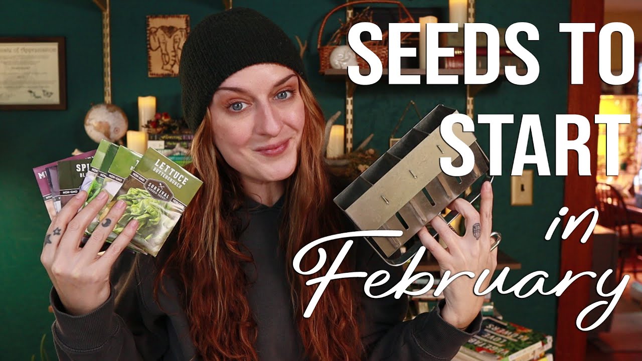 Early Season Sowing 2 Ways! | Winter Sowing in Zone 6