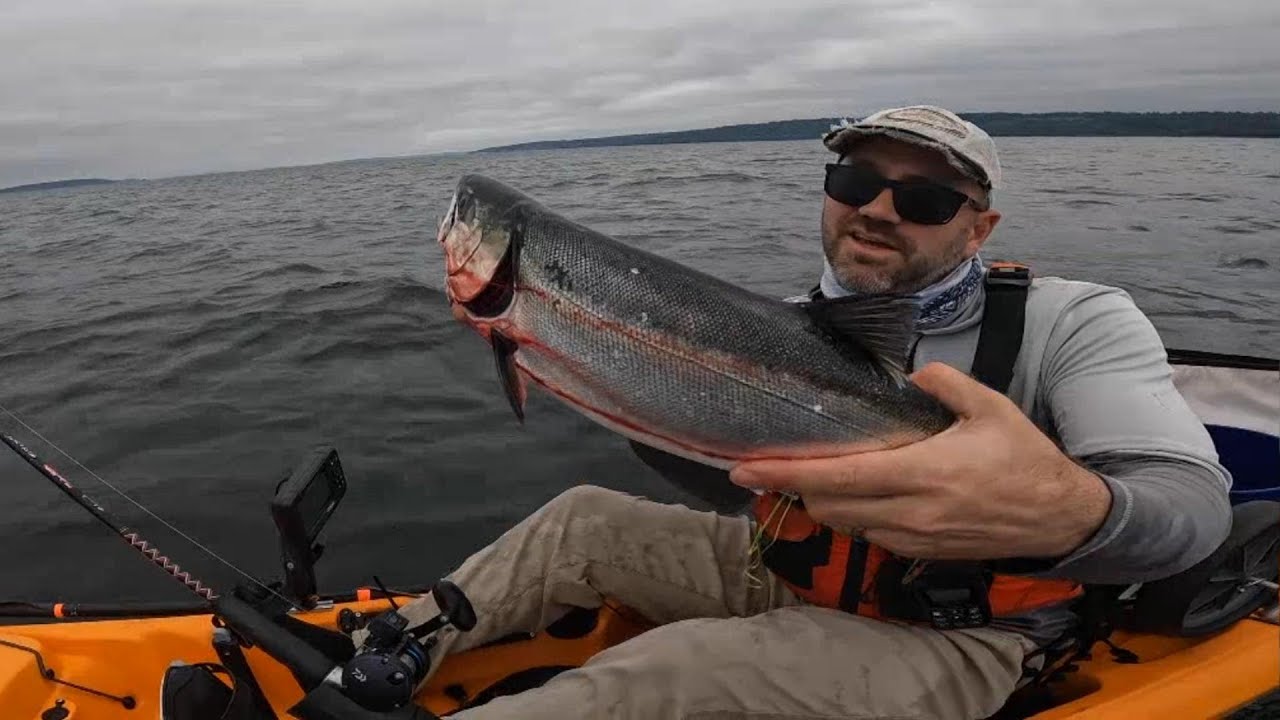 Kayak Trolling for Puget Sound COHO: Spinning Flasher+Herring vs Trolling Flasher+Hoochie