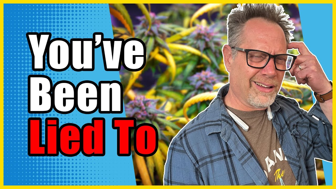 Don&rsquo;t Fall for THESE 3 Cannabis Growing Myths