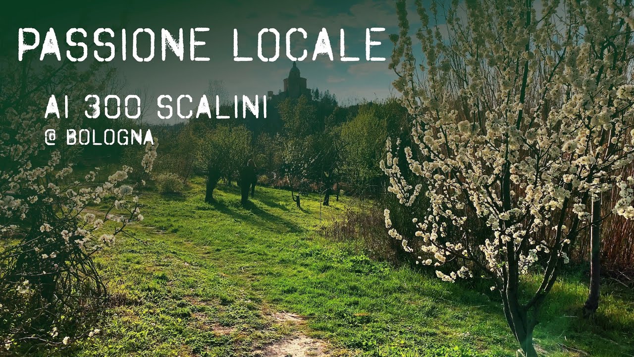 Ai 300 Scalini @ Bologna - Passione Locale