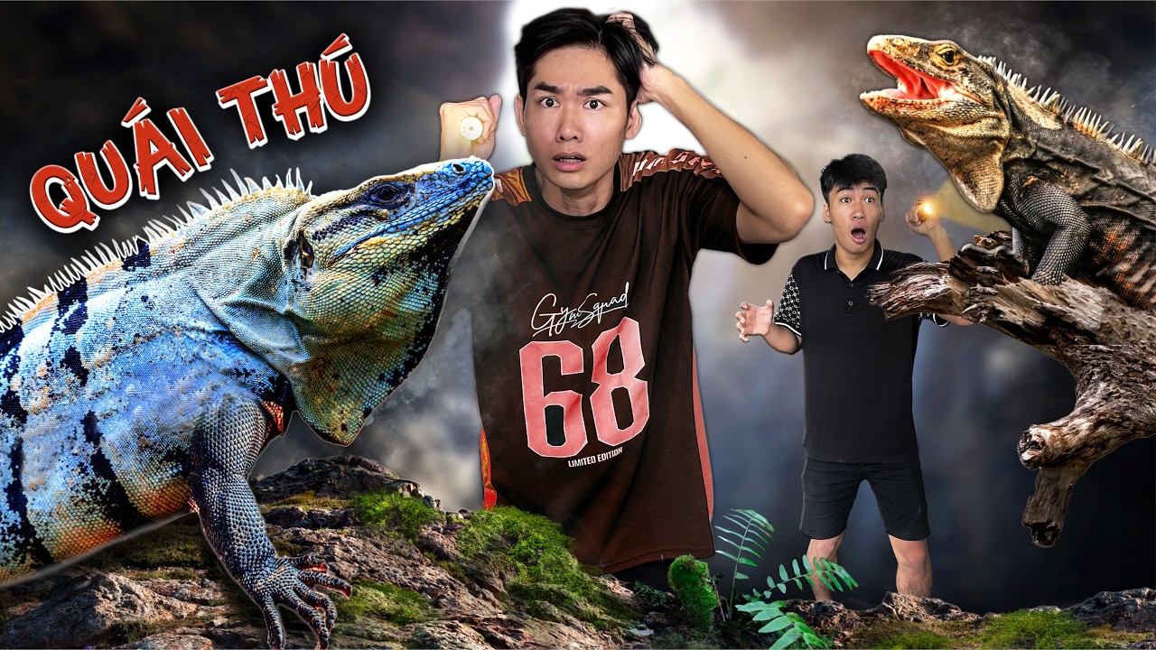 𝐐𝐮𝐚𝐧𝐠 𝐁𝐌 | Nhận Nuôi Quái Thú Đuôi Gai - Adopt a Horn-tailed Beast