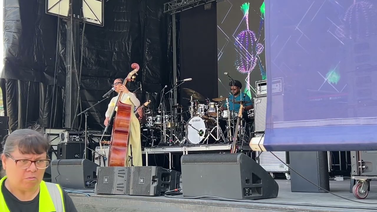 Aneesa Strings - Simpin @ 2025 NBJF (Smooth Jazz Family)