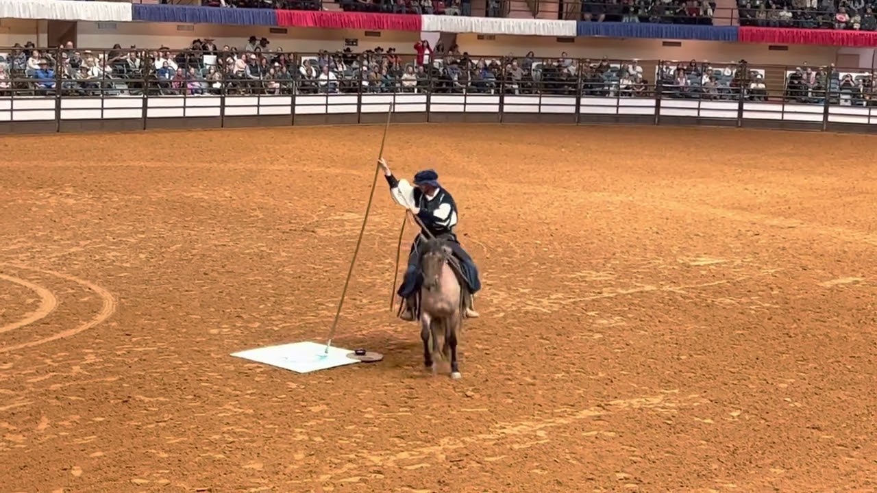 Mustang Magic 2023 “The Roana Lisa” Freestyle Reserve Champion