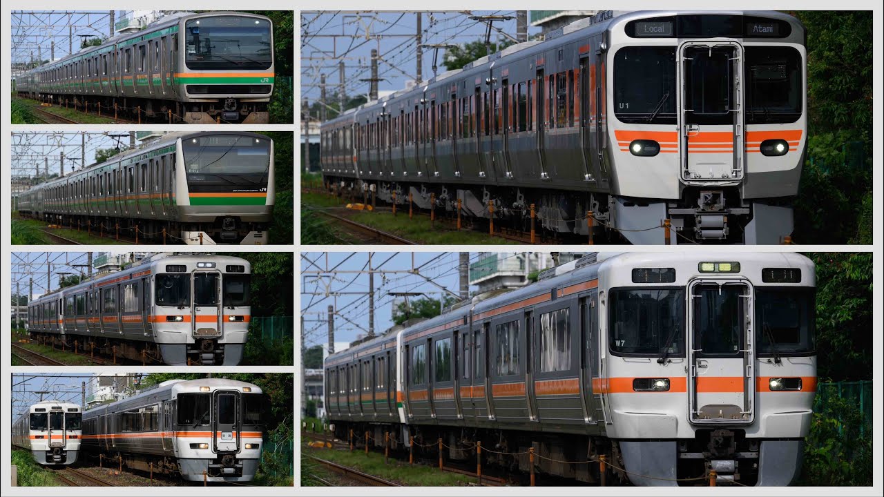 1時間で8本！朝の東海道線を行く315系、211系、313系、373系、E231系、E233系