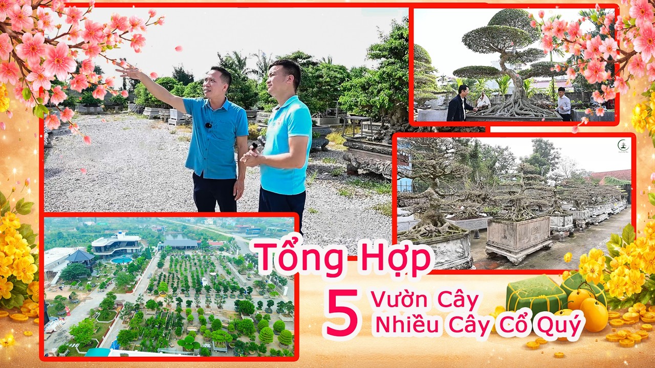 Cây Cổ Việt Nam | Tổng Hợp 5 Vườn Cây Nhiều Cây Cổ, Cây Quý