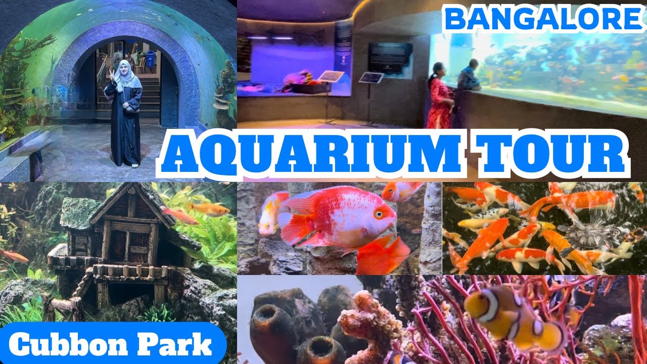 Bengaluru Aquarium Tour | Cubbon Park | Bal Bhavan ￼| Fish tunnel |Aquarium full detail video￼