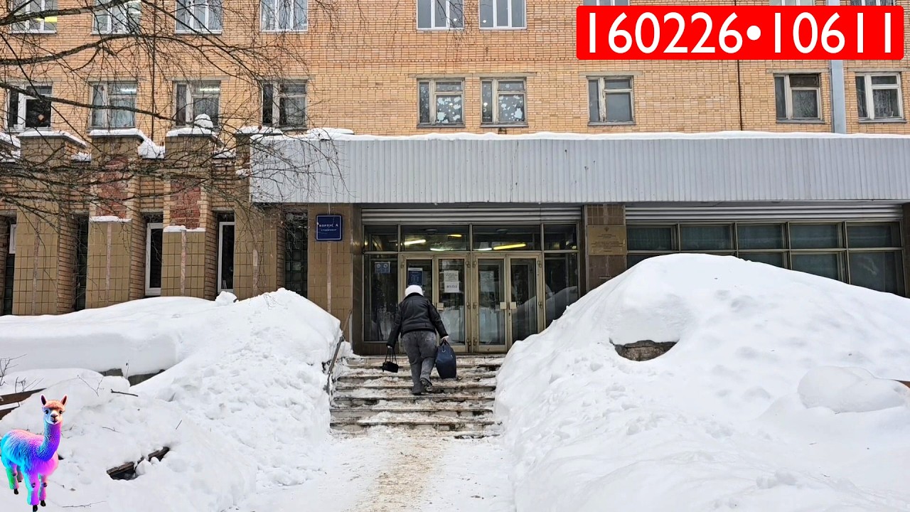 160226•10611🦙Альпакины Моменты🔴Проводил Ангелину в больницу