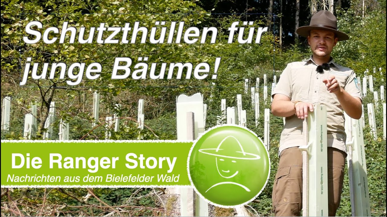 Schutzh&uuml;llen f&uuml;r junge B&auml;ume!