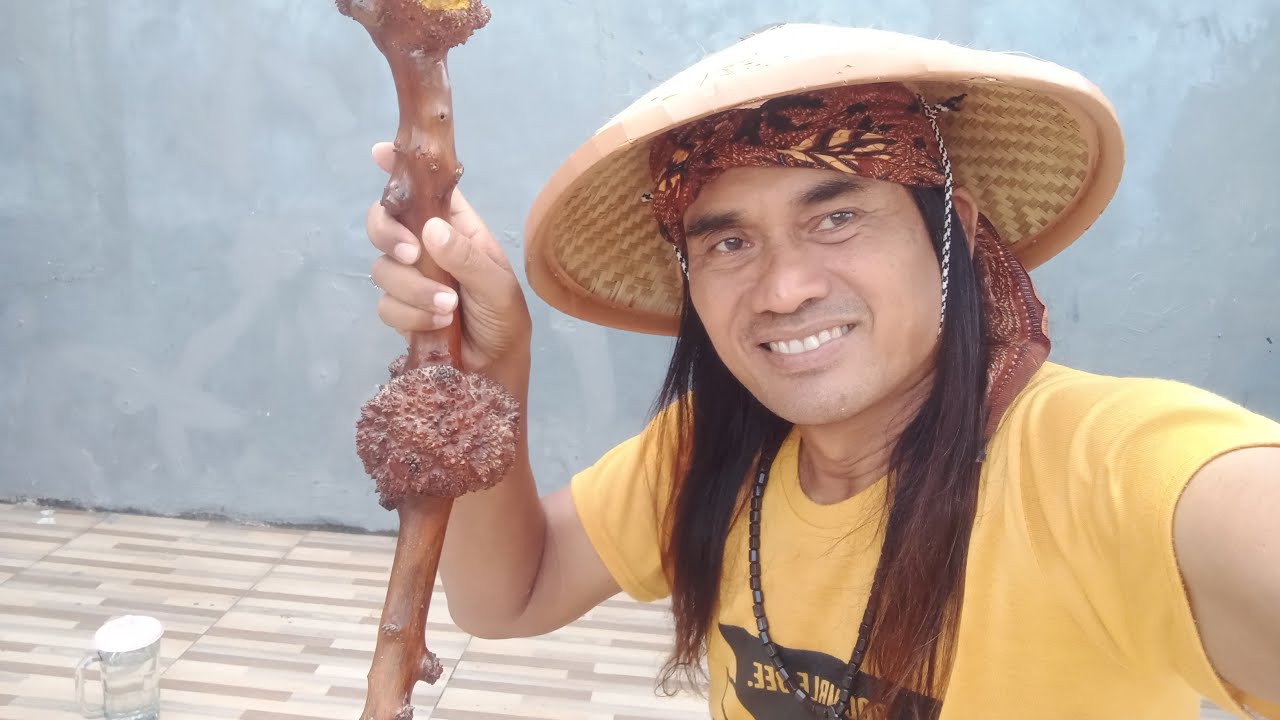 TONTONAN JADI TUNTUNAN  sedang live sekarang!