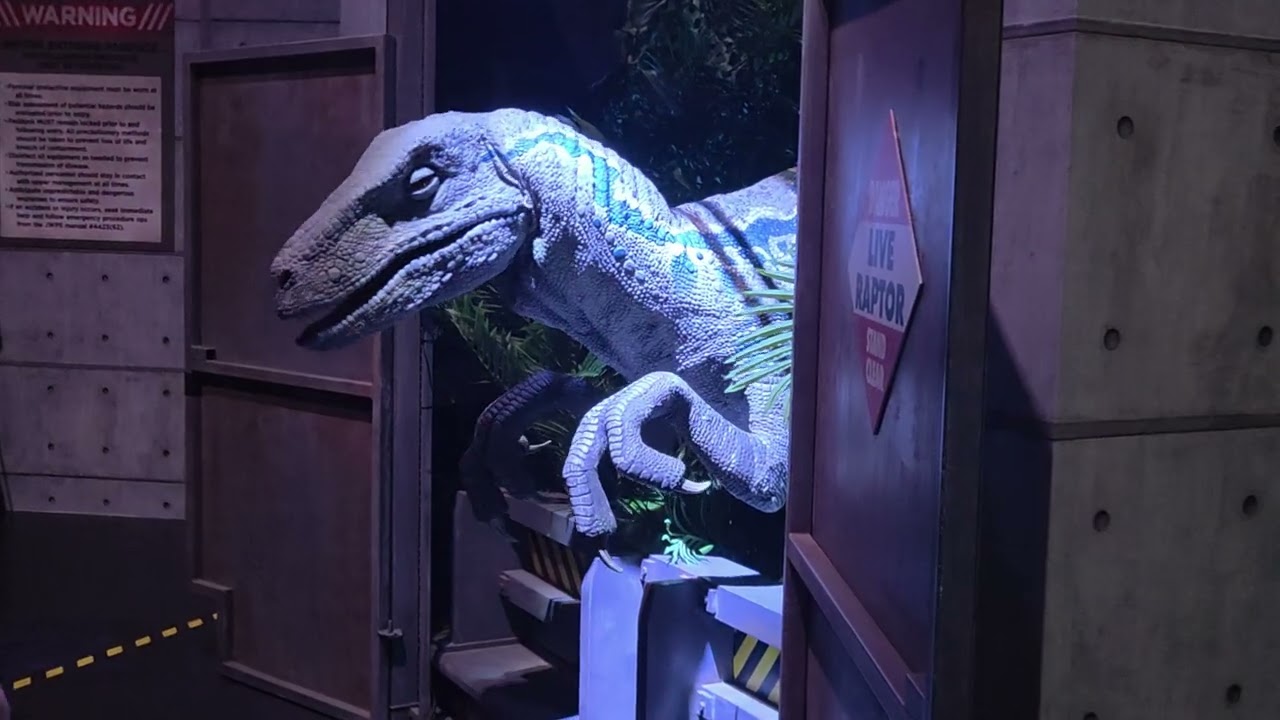 Blue the raptor  cloud forest 