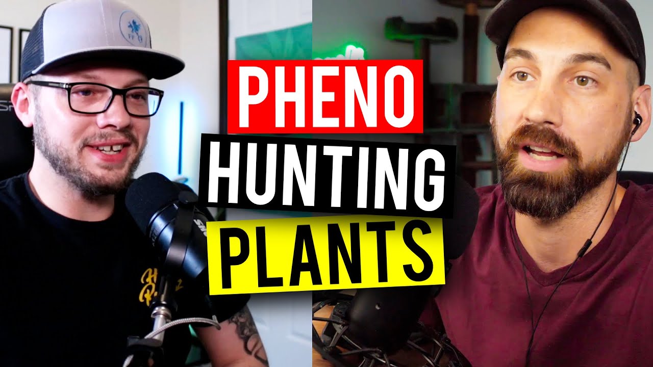 ОТЛИЧНЫЕ методы феноохоты на растения! (Garden Talk #69)