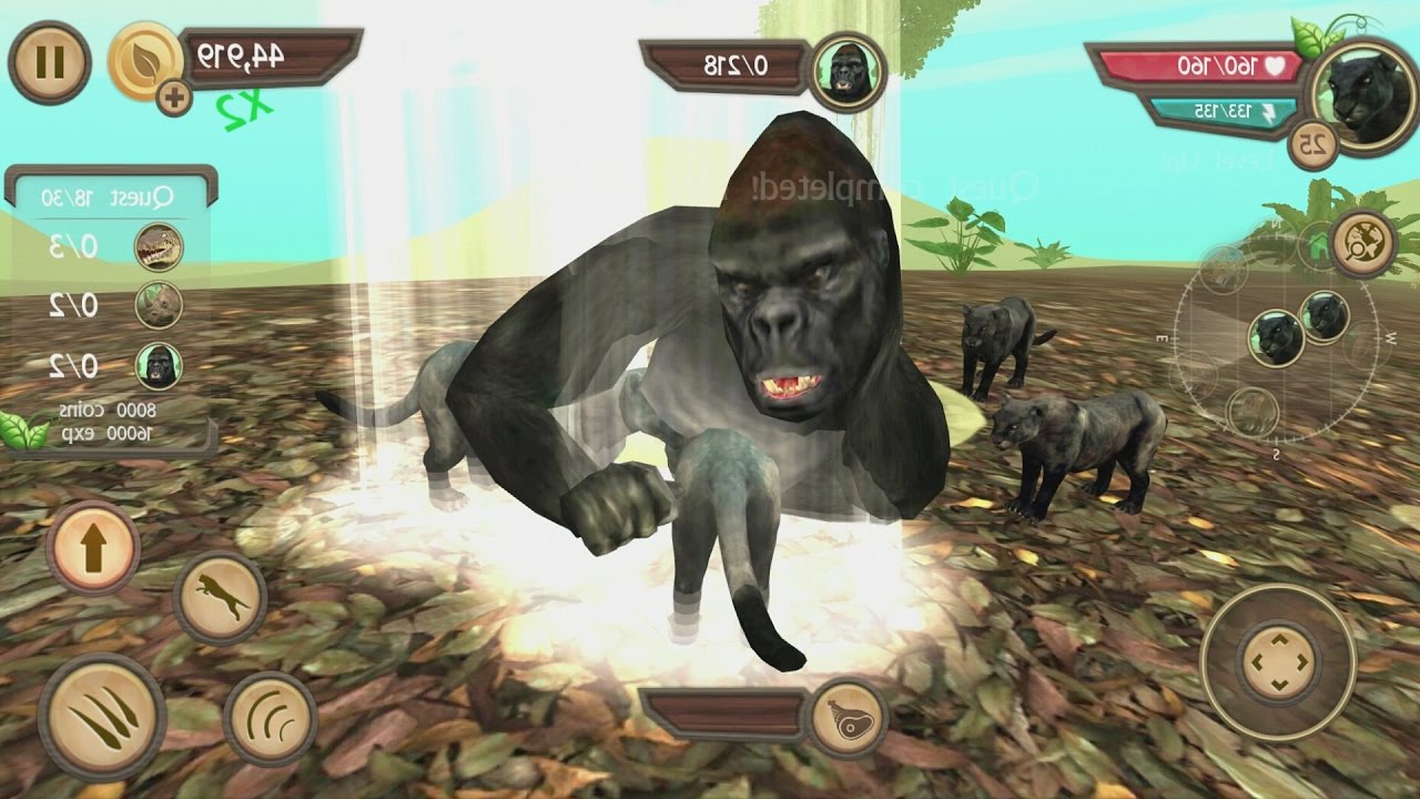 Wild Panther Sim 3D Android Gameplay #10
