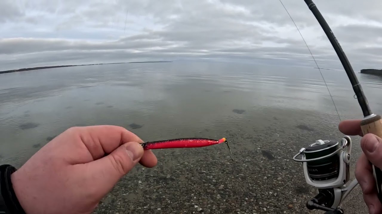 1. juledag ved fjorden i fantastisk vejr