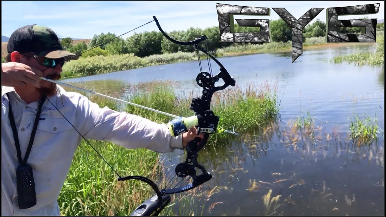 Bowfishing for the First Time - Crazy Fun!
