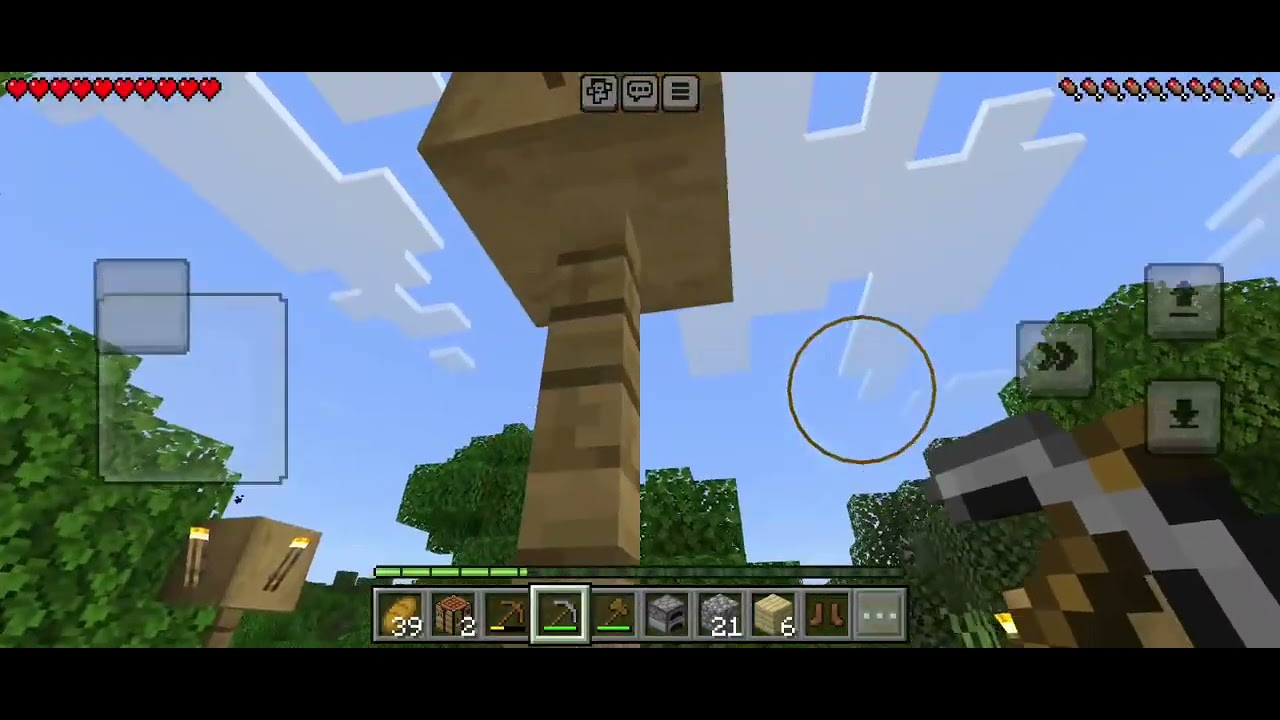 my Minecraft gameplay 